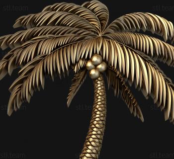 3D модель Кокосовая пальма (STL)